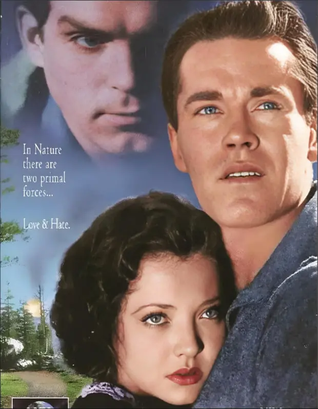 《孤松林径》：探寻内心深处的平静，一场治愈心灵的视觉之旅