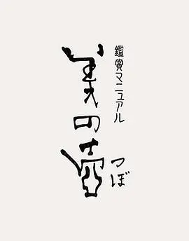 《美之壶》：慢下来，感受生活中的点滴美好，发现隐藏在日常中的艺术